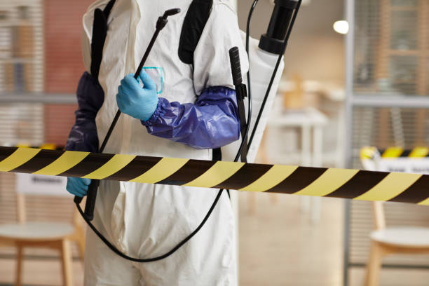 Professional Sewage Cleanup technician working in Hampton, TN